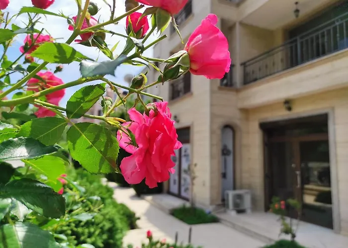 Amara Sunny 써니비치