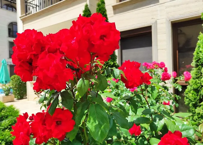 Amara Sunny 아파트호텔 써니비치