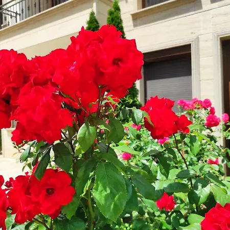 Amara Sunny Hotel apartamentowy Słoneczny Brzeg